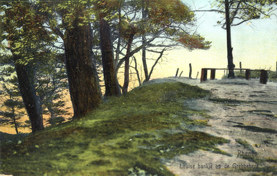 13355 Gezicht op enkele loofbomen en het Louisebankje in het Heimersteinsebos op de Grebbeberg te Grebbe (gemeente Rhenen).